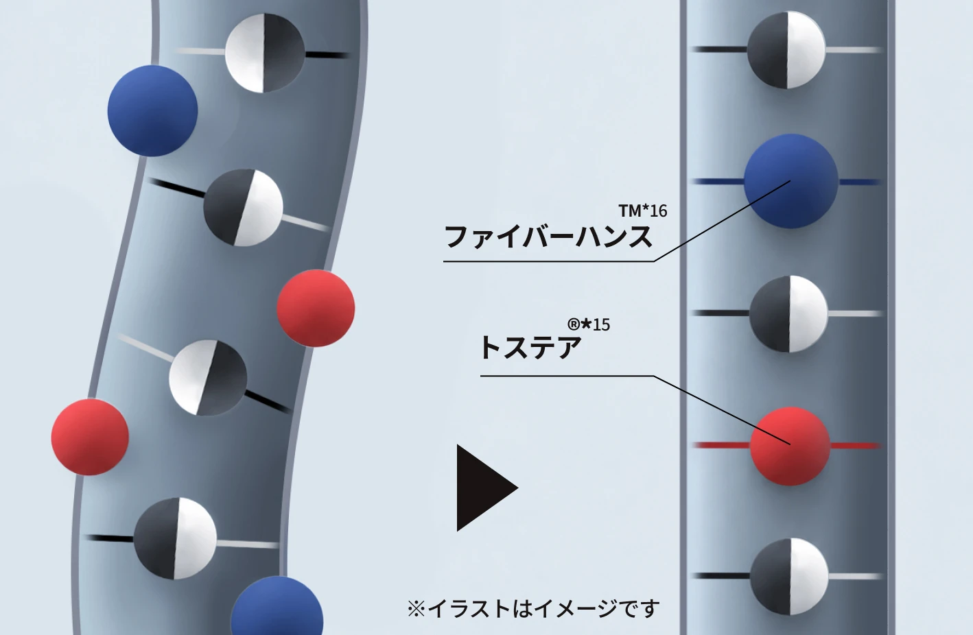 うねった髪とまっすぐな髪の内部構造を比較したイラスト。トステアとジマレイン酸を表す分子が髪内部の結合に作用し、うねりがケアされて滑らかにまとまる様子を示している